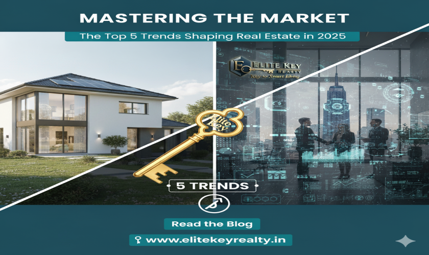 blog-image